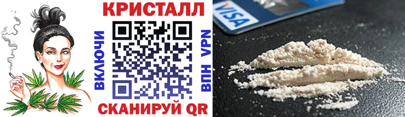 Купить где Луга Amphetamine Premium