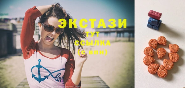 крисы Каменка