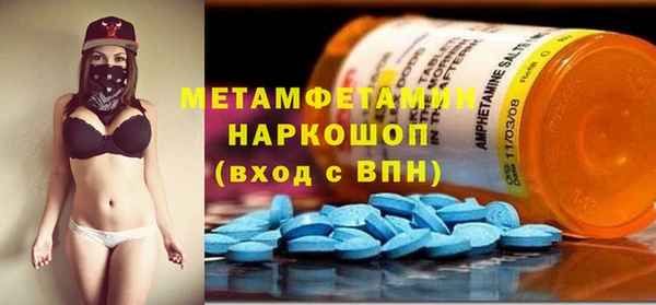 крисы Каменка