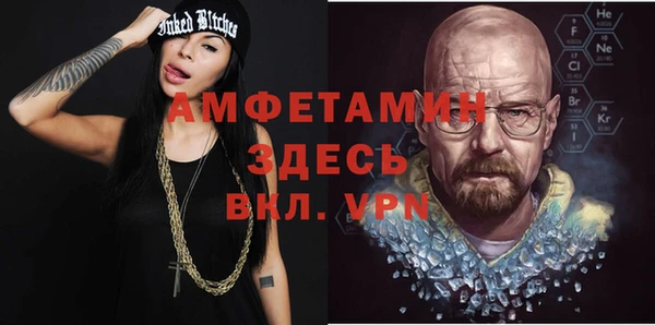 крисы Каменка