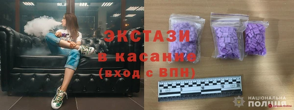 крисы Каменка