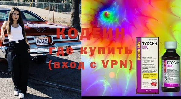 крисы Каменка