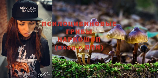 прущая мука Каменск-Шахтинский