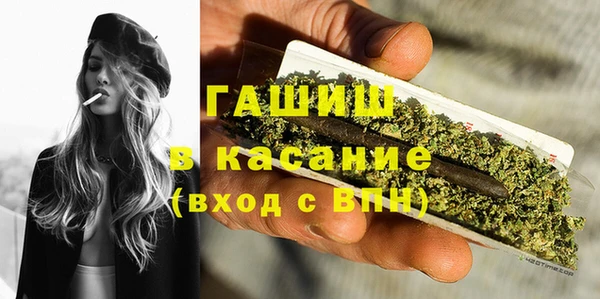 крисы Каменка