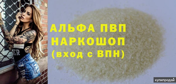 крисы Каменка