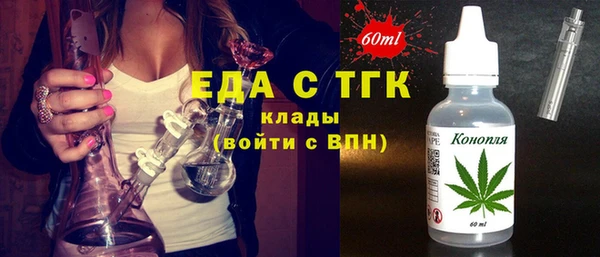 крисы Каменка