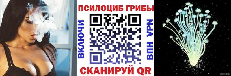 Псилоцибиновые грибы Cubensis  Купить где  Луга 
